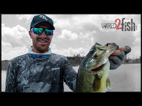 Видео: Метод ловли окуня на новых озерах с помощью крэнкбейта Джейкоба Уиллера