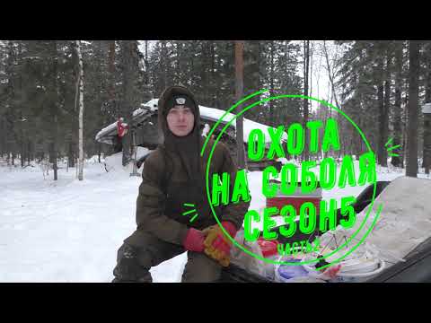 Видео: Охота на соболя. Сезон 5. Часть 2.