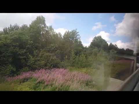 Видео: Отправление со ст. Ельня (Мск. ж.д.)