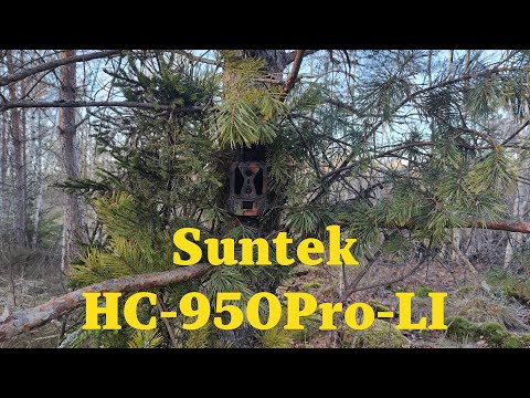 Видео: Первая проверка фотоловушки Suntek HC 950Pro li спустя 2 недели после установки.