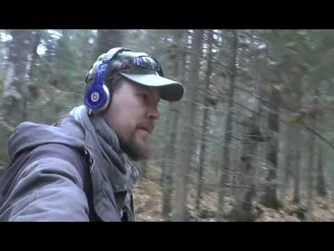 Видео: Прогулка в осень. Седую. 2025.