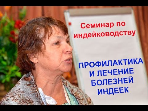 Видео: Профилактика и лечение болезней индеек. Третьякова Л.А.