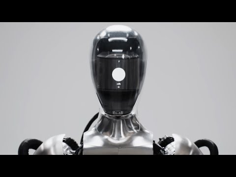 Видео: От домашнего робота до веселой блохи