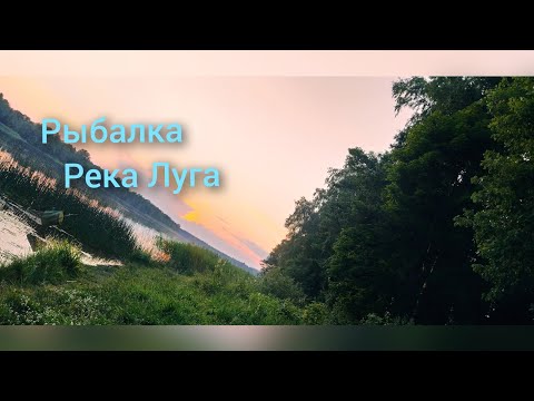 Видео: Рыбалка с сыном на реке Луга. Рыбалка в Ленинградской области.Рыбалка СПб