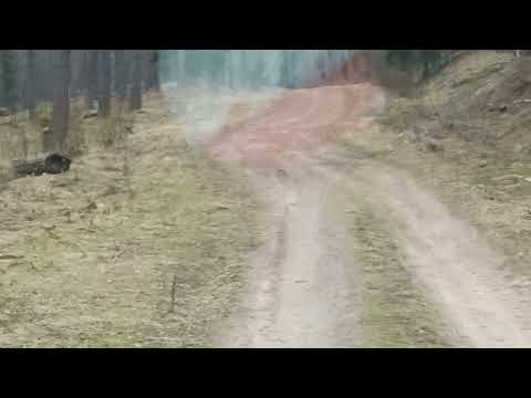 Видео: Старая Смоленская дорога, 31 марта 23 года. 1 часть