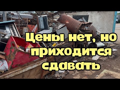Видео: Макулатура дороже металла почти в два раза