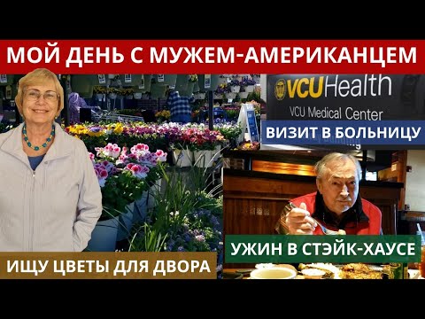 Видео: Мой день с мужем-американцем. Визит в больницу. Поиск  гортензий для двора. ужин в стейк-хаузе.