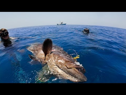 Видео: Не в настроении | Глубокая фридайвинг-охота | Погружения с комментариями