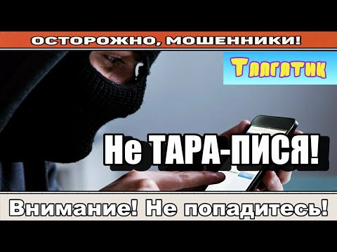 Видео: Мошенники звонят по телефону / Спой песню, свинка! ( сборник ).