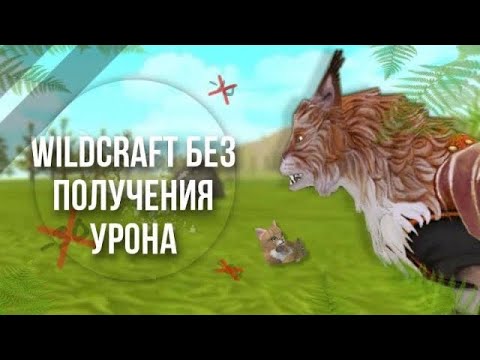 Видео: WildCraft Без Получения Урона #1