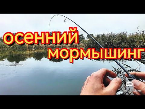 Видео: Мормышинг осенью. В поисках карася.