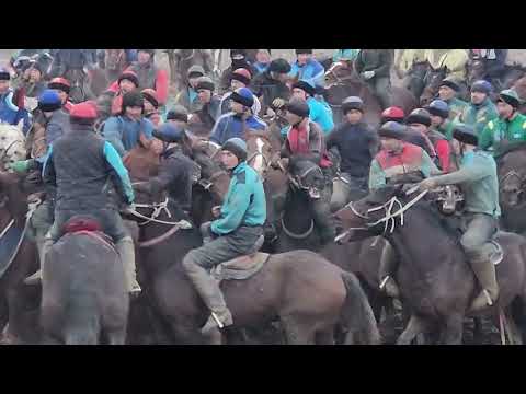 Видео: 19.12.2024 көкпар часть 4. #көкпар #horse #music #rek көлік 014.барып көлік нива келіп