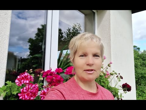 Видео: Маленькие секреты простой пеларгонии