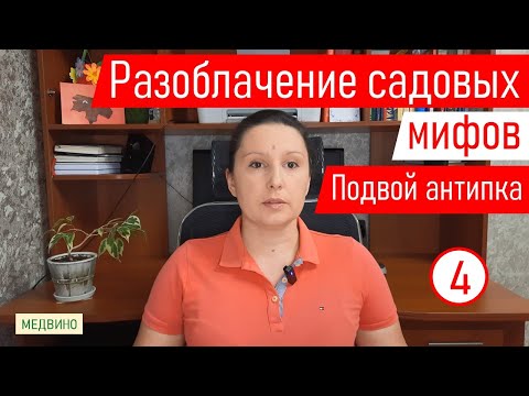 Видео: Разоблачаем садовые мифы. Миф 4: подвой антипка