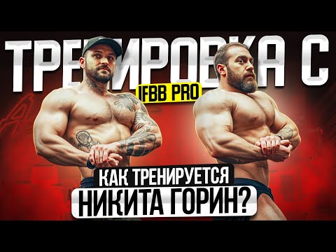 Видео: Как тренируется Никита Горин? Полная тренировка с Профессионалом