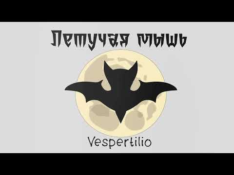 Видео: Подосинникова Лиза «Линейная мультимедийная презентация "Фауна. Млекопитающие. Летучая мышь"»