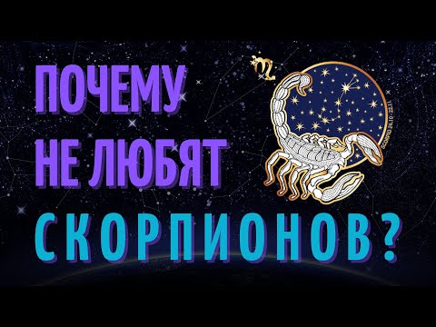 Видео: Почему не любят скорпионов? Причины не любви к скорпионам!