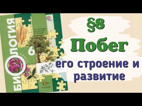 Видео: Краткий пересказ §8 Побег, его строение и развитие. биология 6 класс Пономарёва