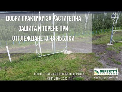 Видео: Растителна защита и торене при отглеждането на ябълки - демонстрация