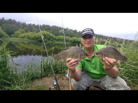 Видео: КОРМИЛ ЛЕЩА А ПОДОШЁЛ КАРАСЬ! НЕОЖИДАННЫЙ УЛОВ В НОВОМ МЕСТЕ НА РЕКЕ. ЛОВЛЯ НА ФИДЕР В ИЮНЕ 2024!