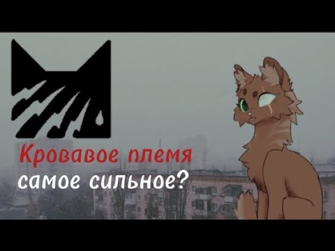 Видео: кровавое племя самое сильное или же слабое?||разбор