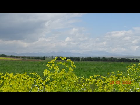 Видео: 2022 Бурное   Евгеньевка