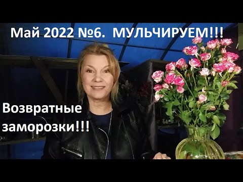 Видео: Май 2022 №6. Мульчируем огород. Возвратные заморозки.