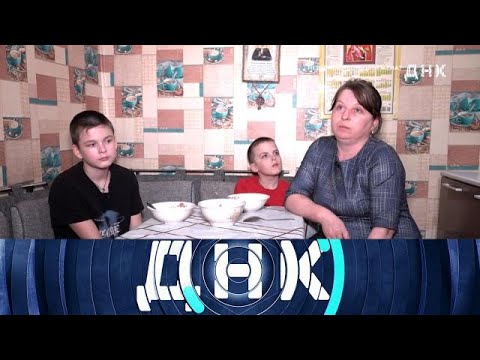 Видео: ДНК. Выпуск от 15.11.2025 - «Неверные тесты или жена» Передачи НТВ