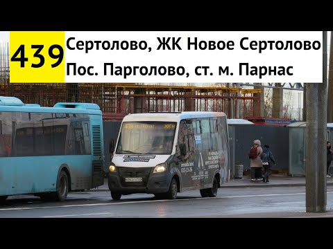 Видео: Автобус 439 "Пос. Парголово, ст. м. "Парнас" - Сертолово, ЖК "Новое Сертолово" (старая трасса)