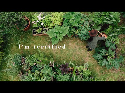 Видео: #49 Первая неделя в новом доме | Ежедневный видеоблог