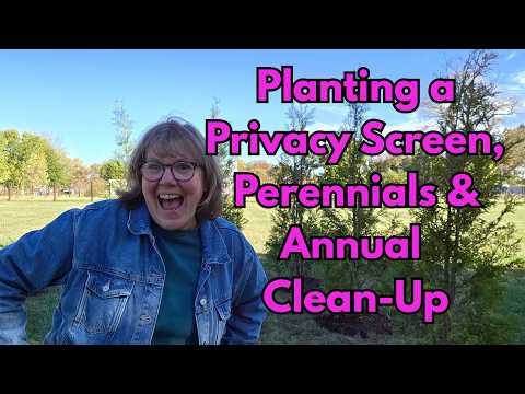 Видео: Последняя осенняя посадка! Создание защитной сетки + уборка однолетних растений