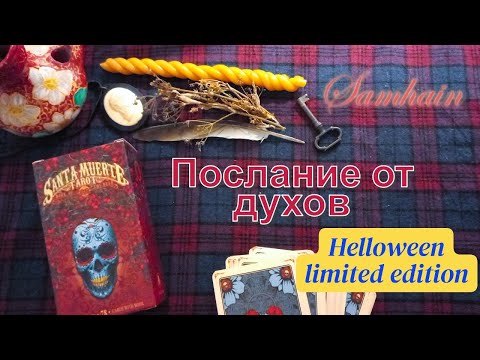 Видео: 💀 ПОСЛАНИЕ ИЗ-ЗА ЗАВЕСЫ 🎃🎃| Samhain Tarot Reading | Halloween Message