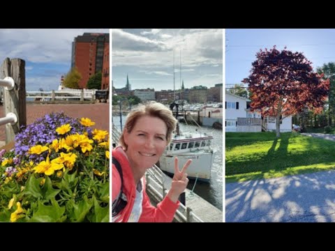 Видео: ЛУЧШИЕ РАЙОНЫ ДЛЯ ЖИЗНИ В СЕЙНТ-ДЖОН, Нью-Брансуик. Как живут обычные канадцы. ЖИЗНЬ В КАНАДЕ 2020