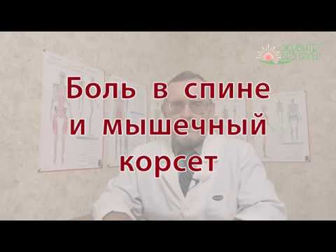Видео: Боль в спине и мышечный корсет