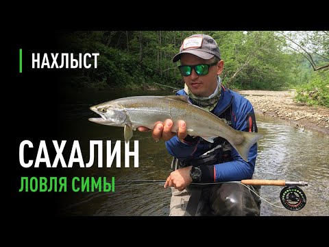 Видео: Ловля СИМЫ нахлыстом на САХАЛИНЕ | Cherry Salmon fly fishing on Sakhalin Island.
