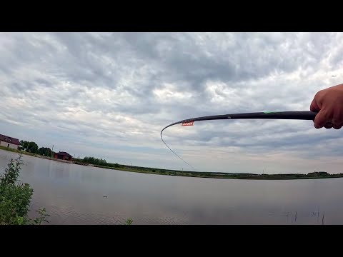 Видео: РЫБАЛКА НА ПОПЛАВОК ЛЕТОМ! ЛОВЛЯ КАРАСЯ И КАРПА НА ПОПЛАВОК В ИЮЛЕ! Рыбалка 2025