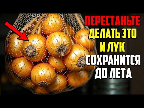 Видео: Ваш Урожай Лука Сохранится До Лета! Проверенный Пошаговый Метод!