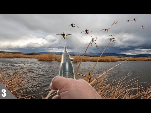 Видео: ОХОТА НА УТОК В ВОЮЩИХ ВЕТРАХ | 2 группы!