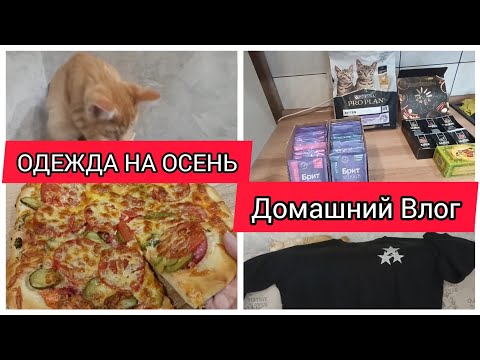 Видео: ✅ДОМАШНИЙ УЮТНЫЙ ВЛОГ/ ОДЕЖДА НА ОСЕНЬ/
