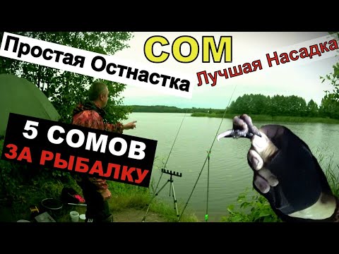 Видео: ЭТА НАСАДКА КОСИТ СОМА. 5 СОМОВ ЗА 7 ЧАСОВ. ЛОВЛЯ СОМА.