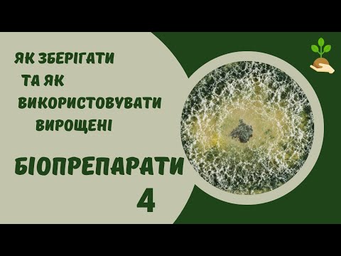 Видео: Як зберігати та використовувати домашні біопрепарати для захисту рослин