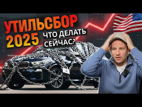 Видео: УТИЛЬСБОР 2025: ЧЕСТНЫЙ РАЗБОР. Что брать и что будет с рынком?