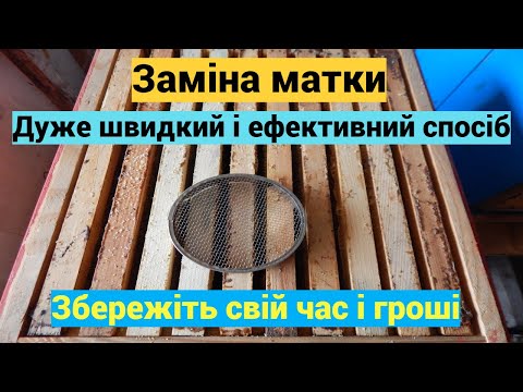 Видео: Заміна матки дуже легко! Як дуже швидко і ефективно підсадити матку, без великого затрату часу.