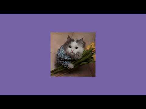 Видео: топ песен сергея лазарева (speed up)