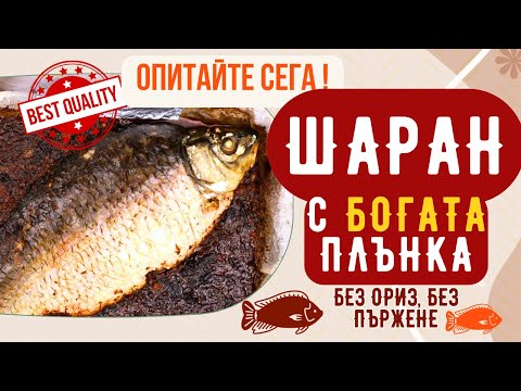 Видео: 🐟ПЪЛНЕН ЗАДУШЕН ШАРАН С БОГАТА ПЛЪНКА, без ориз, без пържене, стара, домашна рецепта, мек, сочен