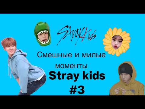Видео: Смешные и милые моменты stray kids #3 | funny and cute moments stray kids #3 |relzness