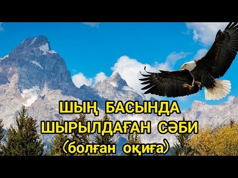 Видео: БҮРКІТТІҢ КЕГІ. ШЫҢ БАСЫНДА ШЫРЫЛДАҒАН СӘБИ #болғаноқиға