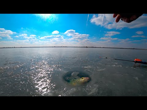 Видео: ЖОР ЛЕЩА НА ВОДОХРАНИЛИЩЕ ! ! !  !