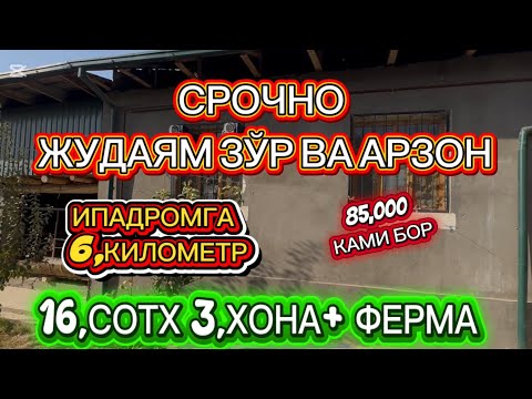 Видео: АРЗОН КОТТА УЧАСТКА СОТИЛАДИ ТОШКЕНТ БЎС СУВДА 19 октября 2025 г.