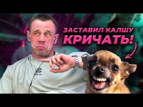 Видео: ШОК! ОДОБРИЛИ КРЕДИТ 68🍋! | БАНКРОТСТВО | Кузнецов | Аллиам